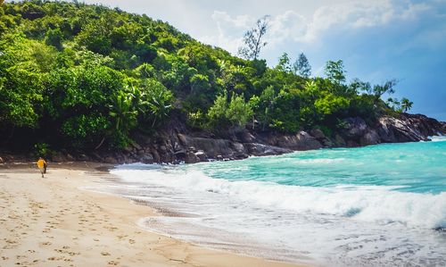 Scenic view of beach against sky