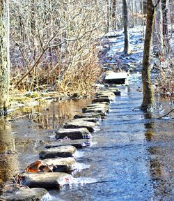 Scenic view of frozen river in forest during winter