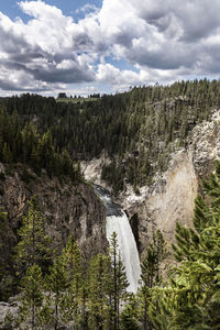 Scenic view of waterfall in forest against sky