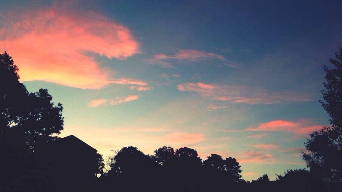 tree, silhouette, sunset, sky, low angle view, beauty in nature, orange color, cloud - sky, scenics, nature, tranquility, growth, tranquil scene, cloud, built structure, outdoors, idyllic, building exterior, no people, dusk