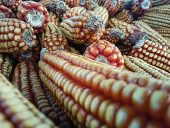 Full frame shot of corns