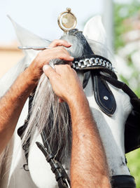 Man braiding horse's mane