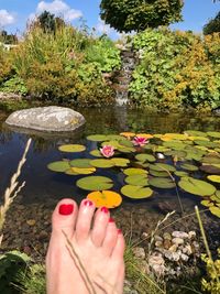 Low section of woman with flowers in water