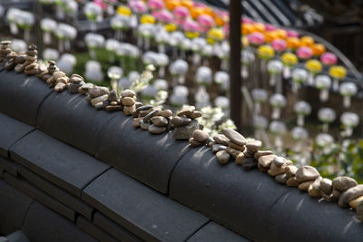 Close-up of pipes on roof