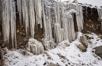 Icicles on snow covered land