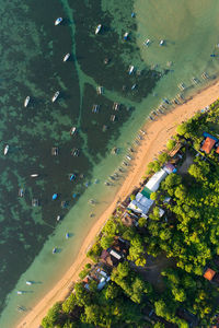 High angle view of beach by trees