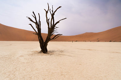 Scenic view of desert against sky