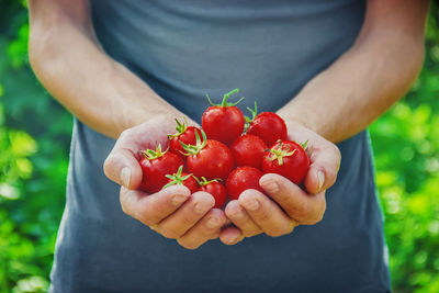 Midsection of man holding tomatoes