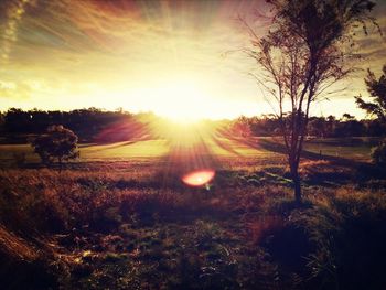 Scenic view of field against sky at sunset