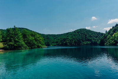 Scenic view of lake by trees against blue sky