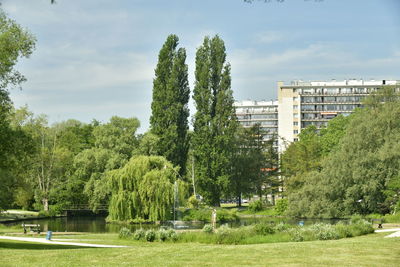 Trees and plants in park against buildings in city