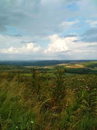 Scenic view of land against sky