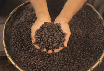 High angle view of hand holding coffee beans