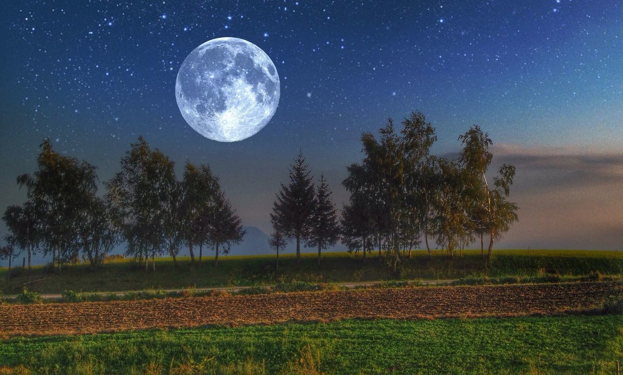 night, astronomy, tranquil scene, scenics, tranquility, beauty in nature, sky, star - space, moon, nature, landscape, star field, space, tree, full moon, space exploration, star, galaxy, idyllic, field