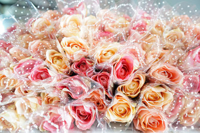 Close-up of rose bouquet