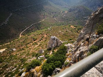 High angle view of trees on landscape