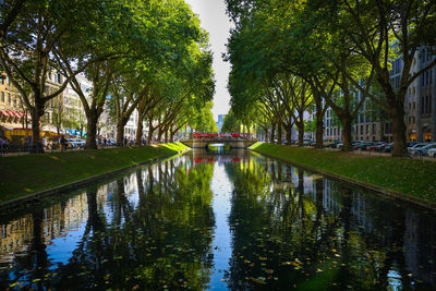 Canal amidst trees in park