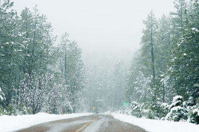 Road amidst trees during winter