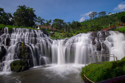 Scenic view of waterfall in forest