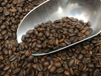 Close-up of coffee beans and serving scoop