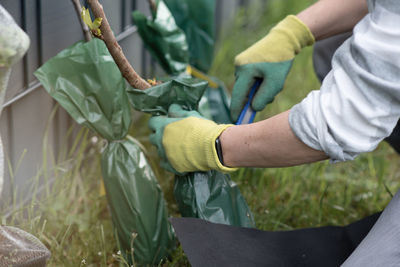 A person plants trees in the garden. ecology concept