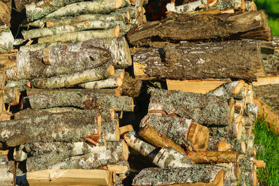 Prepared firewood for the winter heating period, energy crisis, expensive heating