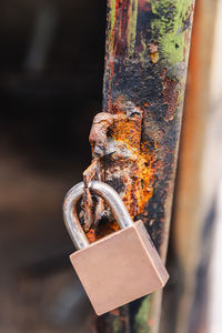 Close-up of rusty chain hanging on metal fence