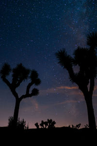 Low angle view of silhouette trees against sky at night