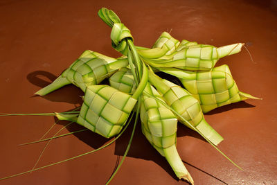 High angle view of green leaf on table