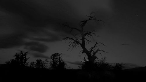 Low angle view of silhouette trees against sky at night