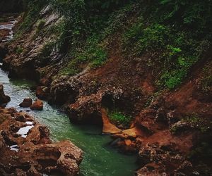 High angle view of river flowing through rocks in forest