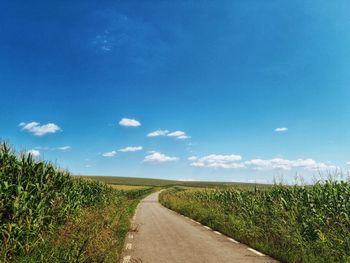 Road amidst field against blue sky