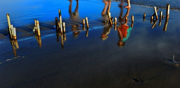 Reflection of trees in water