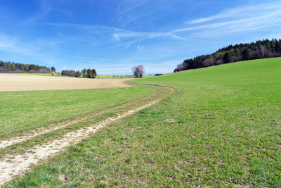 Scenic view of field against sky