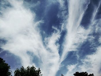 Low angle view of trees against cloudy sky