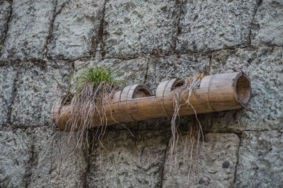 Close-up of wood