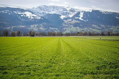 Scenic view of field against mountains