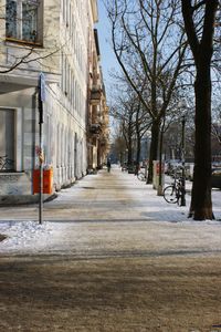 Footpath amidst trees and buildings in city