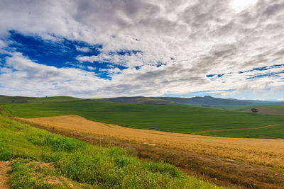 Scenic view of field against sky