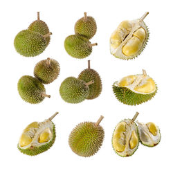 High angle view of fruits against white background