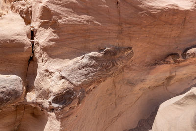 Rock formations in a desert