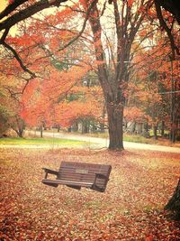 Empty park bench in park