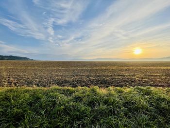 Scenic view of field against sky during sunset