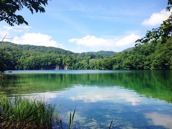 Reflection of trees in calm lake