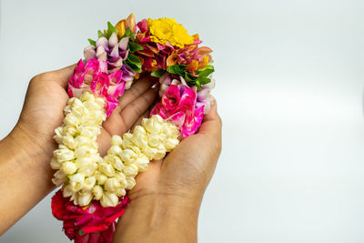 Midsection of person holding multi colored roses against white background