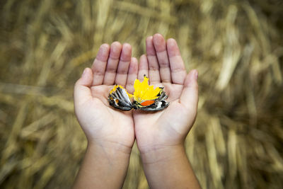 Close-up of hand holding small flower