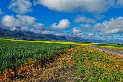 Scenic view of field against sky