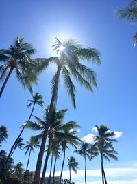 Low angle view of coconut palm trees against clear sky