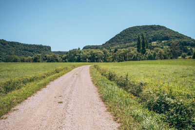 Scenic view of agricultural field against clear sky