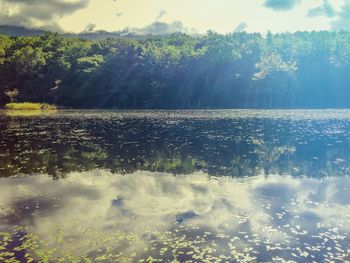 Reflection of trees in lake against sky